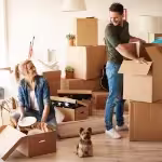 Move-in/out bathroom cleaning